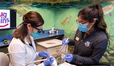 dentist and dental hygenist working on a patient